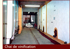 Le Chai de vinification